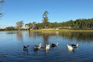 Lake view