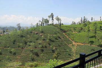 Land view from property