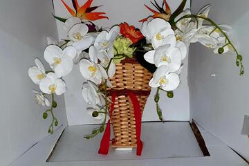 Photo 26