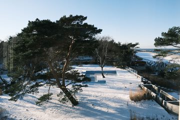 Park view