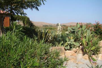 Photo 34