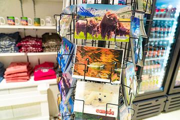 Gift shop