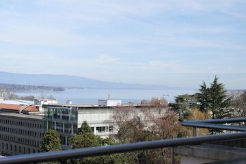 Lake view