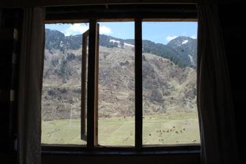 Photo 24