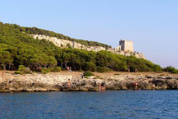 Photo 41