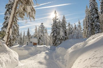 Snowshoeing