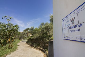 Land view from property