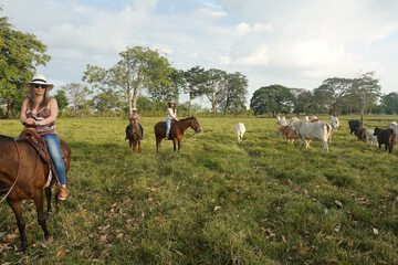 Horseback riding