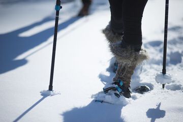 Snowshoeing