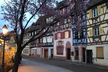 Photo 37