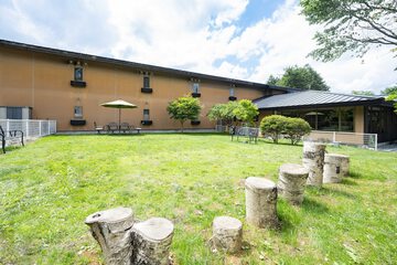 Pet-friendly amenities