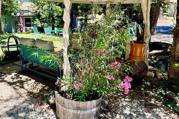 Property Grounds 62 of 65