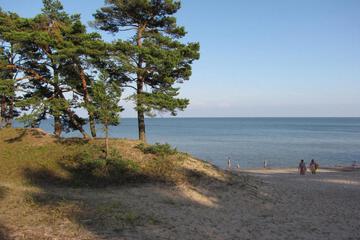 Photo 30