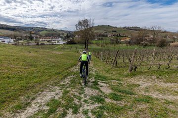 Bicycling
