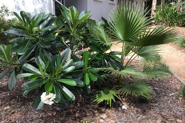Photo 22