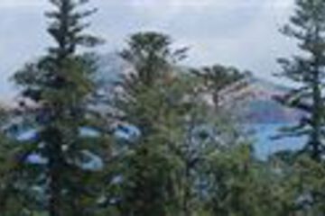Beach or Ocean View