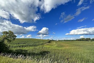 Outdoor Activities 37 of 39