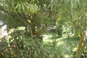 Photo 65