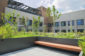 Rooftop terrace