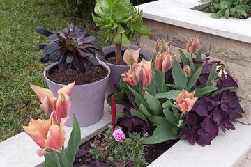 Photo 27