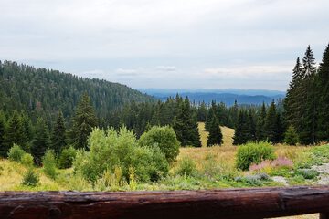 Mountain view