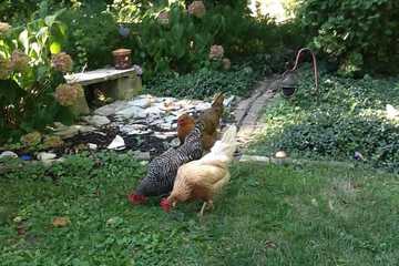 Hotel Exterior 83 of 87