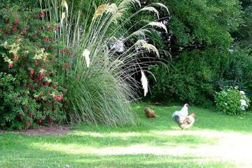 Photo 36