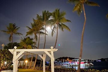 Outdoor wedding area