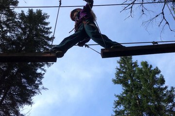 Ropes course (team building)