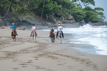 Horseback riding
