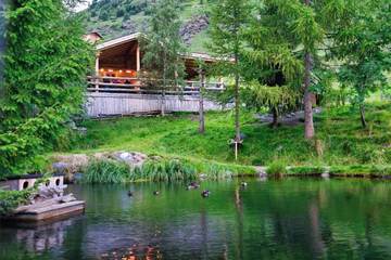 BBQ/picnic area