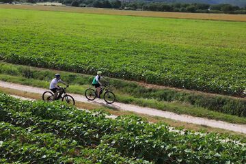 Bicycling