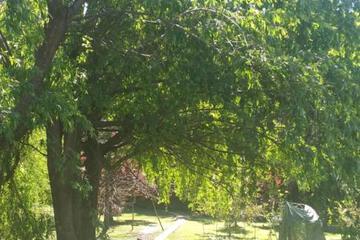 Photo 55