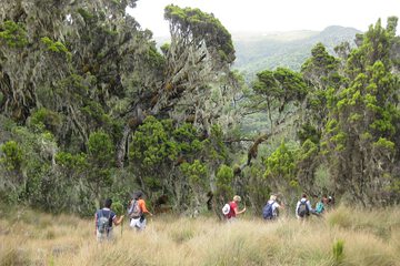 Hiking