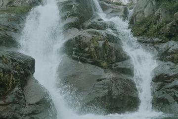 Photo 86