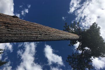 Point of interest