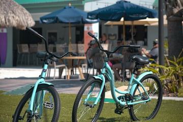 Outdoor Activities 94 of 95