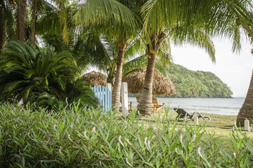Land view from property
