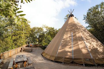 Outdoor wedding area