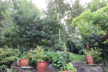 Terrace or Patio