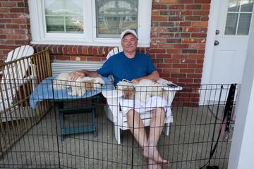 Pet-friendly