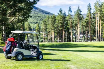 Golf cart