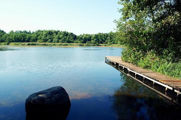 Photo 30
