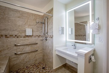 Portable shower seat