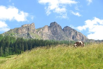 Mountain view