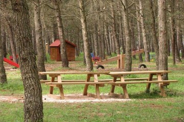 BBQ/picnic area