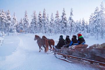 Horseback riding