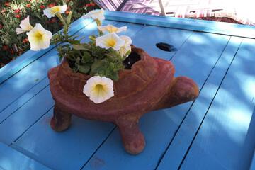 Photo 41