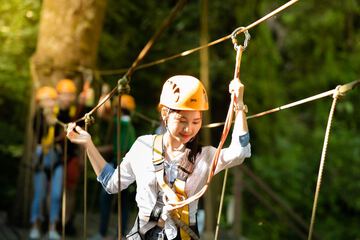 Ropes course (team building)