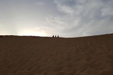 Photo 51